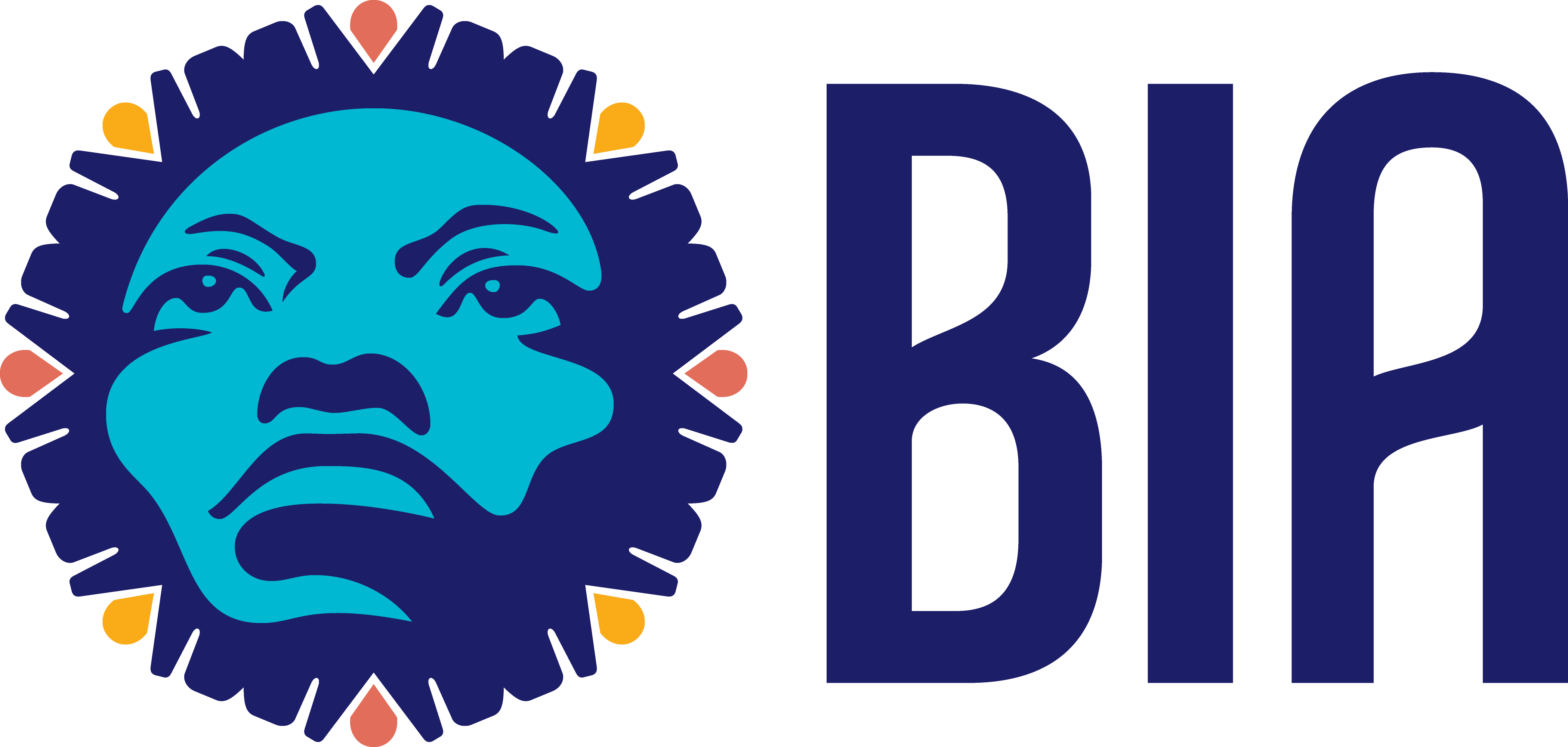 Black Innovation Alliance