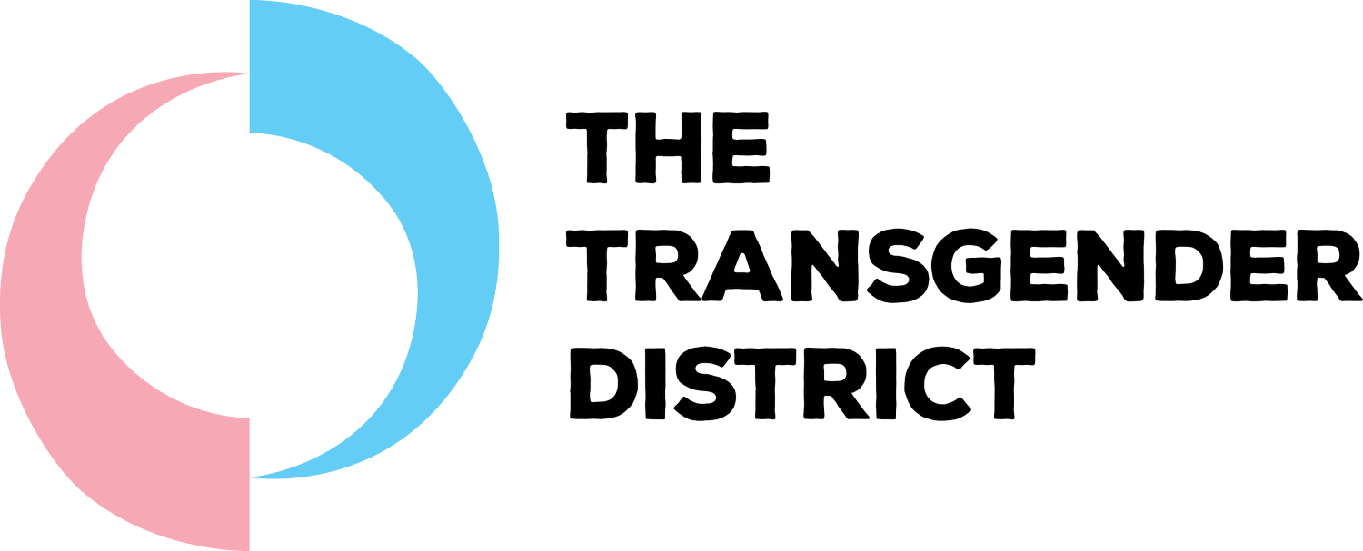The_Transgender_District-logo-RGB-horiz-300_(2)